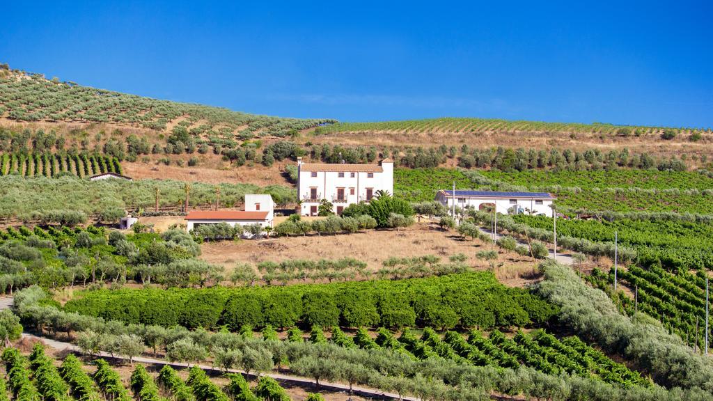 Tenute Piazza Countryhouse ريبيرا المظهر الخارجي الصورة